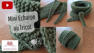 Mini Echarpe au Tricot [upl. by Nosyrb]