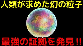 素粒子物理学の偉業！仮説上の粒子「グルーボール」を発見か【量子色力学】 [upl. by Viridi]