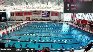 2023 Illinois Swimming Summer Regional Championships  Session 2 Sat AM  10 amp Under 1112 [upl. by Oicafinob]