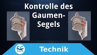 Freediving Equalisation Training  Kontrolle des Gaumensegels soft palate [upl. by Deirdra]