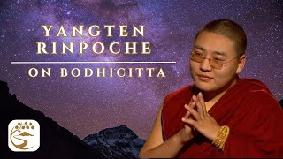 Interdependent Emptiness  Yangten Rinpoche QampA [upl. by Icul]