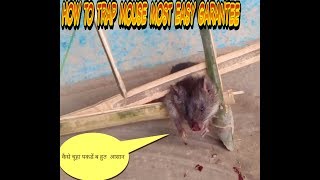 How to make a mouse trap most easy bambooकैसे चूहा पकडें आसानी सें [upl. by Ibok187]