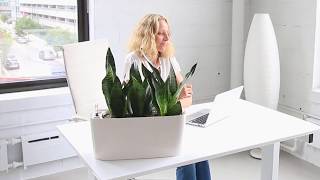 Snake Plant Potted In Lechuza Windowsill Planter [upl. by Ursuline]