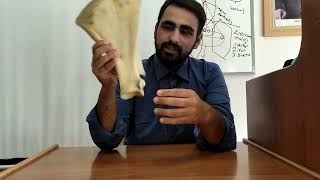 ÖĞRENCİDEN ÖĞRENCİYE ANATOMİ BÖLÜM1 SCAPULA [upl. by Llertnod]