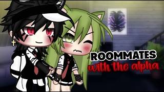 ☆Roommates with the alpha☆  Gacha Life Mini Movie GLMM PART 1 [upl. by Rosenzweig]