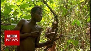 Congo The pygmies of Boyanga  BBC News [upl. by Adnowat]