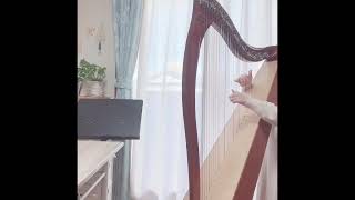 Celtic Harp【The Clothiers March】🇮🇪🎼Irish traditional music無印良品BGM [upl. by Aniuqahs631]