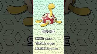 🐚Etimología Pokémon SHUCKLE🐚 [upl. by Kristof350]