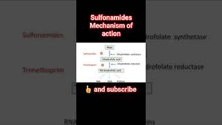 sulfonamides mechanism of actionpharmacology physiology [upl. by Velasco]