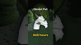 Hardest Pets in OSRS [upl. by Anelrahc]