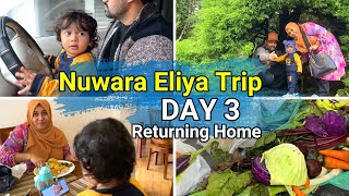 NUWARA ELIYA TRIP DAY 3  Victoria Park Fresh fruit amp veg  Returning home  Naveenass Tiny Tips [upl. by Merri]