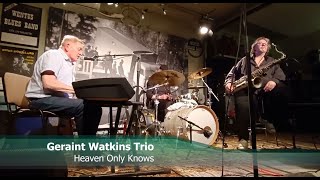 Geraint Watkins Trio  Heaven Only Knows [upl. by Nylassej]