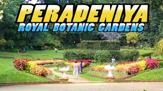 PERADENIYA  Royal Botanic Gardens  Sri Lanka 4k [upl. by Vernon]