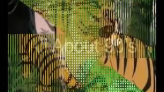 The jungle book cartoon shere khan theme [upl. by Patten]