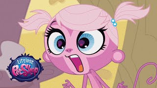 Littlest Pet Shop  ‘OmmmMG’ Original Short [upl. by Acinoed922]