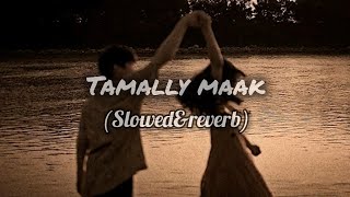 Amr DiabTamally maak SlowedampreverbEnglish lyrics [upl. by Euqitsym]