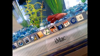 iMac Aquarium fish tank made out of Apple G3 iMac [upl. by Idnem]