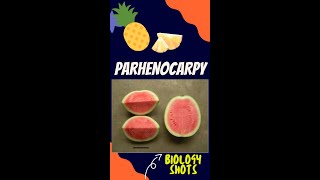 Parthenocarpy  seedless fruits  biologyshorts  shorts [upl. by Olsen]