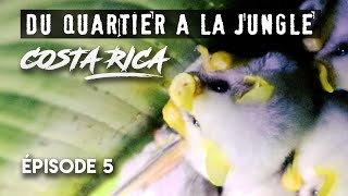 DU QUARTIER A LA JUNGLE  COSTA RICA S1Ep5 [upl. by Imotih754]