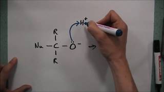 Nucleophilic Addition Across Carbonyl Group [upl. by Nrev]