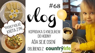 VLOG 68  koprovka koláč osení krůta z PH a nákupy 🌼 [upl. by Neemsay868]