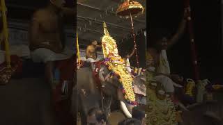 Ettumanoor utsavam 2024 live [upl. by Eisle]