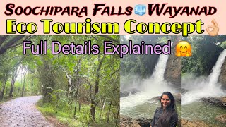 Soochipara Water fallsPlaces to visit in Wayanad Things Everyone Should Know before visiting falls [upl. by Hecker]