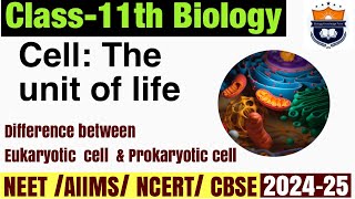 EUKARYOTIC CELLS vs PROKARYOTIC CELLS  Whats the difference CHAPTER  8 CELL  THE UNIT OF LIFE [upl. by Crandell]