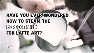 How to Steam amp Froth Milk with Steam Wand [upl. by Dolly]