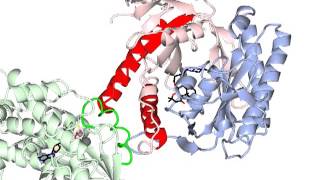 Adenylate cyclase activation with sound [upl. by Llednol112]