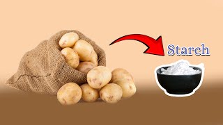 Starch Extract From Potatoes  How Its Made 2024 homemade [upl. by Kirre546]