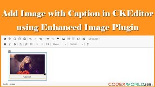 Insert Image with Caption in CKEditor [upl. by Namreh]