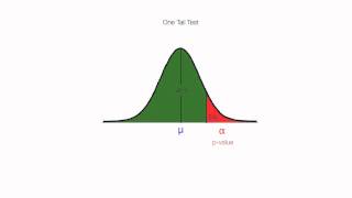 How to calculate One Tail and Two Tail Tests For Hypothesis Testing [upl. by Yra791]