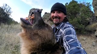 GoPro Man and Grizzly Bear  Rewriting History [upl. by Adamski]