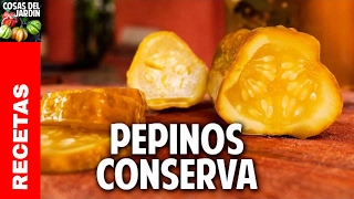 Cómo hacer Pepinos en conserva con fermentación natural facil y saludable cosasdeljardin [upl. by Kyd]