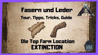 🦖ARK‬ Survival Evolved 🦖Fasern und Leder Top Farm Locations INFOGUIDE Deutsch Farmen 2022 [upl. by Nosemaj]