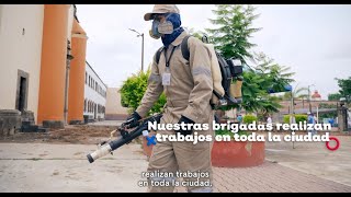 Brigadas contra el dengue  Gobierno de Jalisco [upl. by Rehptsirhc]