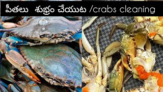 crabs cleaningpeethalu cleaning in teluguపీతలు శుభ్రపరచుట ఎలా [upl. by Annoyt]