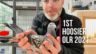 Visit to Aztec Racing Pigeon Loftthe nicest racing pigeon loft I have ever seen [upl. by Grange]