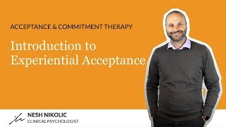 Introduction to Experiential Acceptance [upl. by Natka]