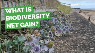 What is Biodiversity Net Gain [upl. by Rosinski]