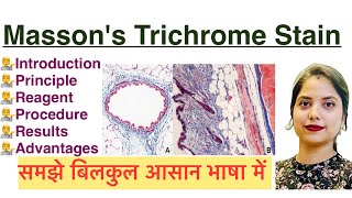 Mason’s Trichrome Stain in Hindi  Histology stain  MLT [upl. by Attenauqa]