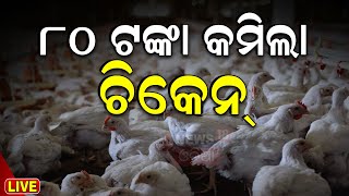 Bird Flue In Odisha Live ଶସ୍ତା ହେଲା ଚିକେନ୍  Chicken Price Fall Due To Bird Flu  H5N1 Virus [upl. by Richmal535]