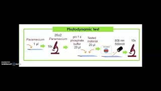 LIPOSOMES AND Au NP AS CARRIERS FOR INDOCYANINE GREEN AND ITS POTENTIAL USE IN PHOTODYNAMIC THERAPY [upl. by Burns]