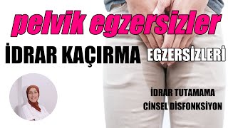 PELVİK TABAN EGZERSİZLERİ  İDRAR KAÇIRMA  CİNSEL DİSFONKSİYON  Fizyoterapist Aynur BAŞ [upl. by Lytsirk]