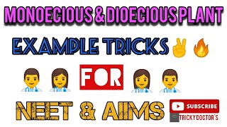 Monoecious amp Dioecious plant🔥 Example Tricks🎯 NEET2021 tricks NCERT Short tricks✌ NEET Biology🎯 [upl. by Nordin]