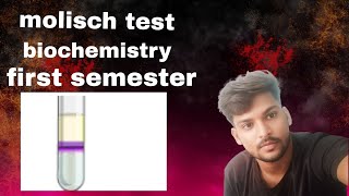 molisch test class 12 neet bsc biochemistry practical [upl. by Zat]