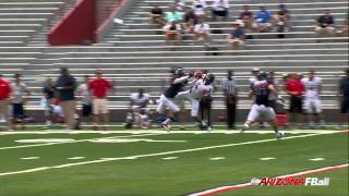 Trey Griffey Spring Football Play of the Game [upl. by Barsky94]