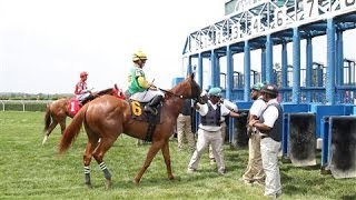 Belmont Stakes Every Race Starts at the Gate [upl. by Marsiella]