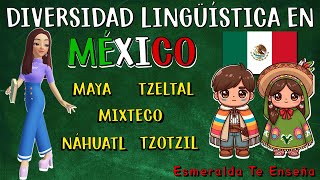 📚🌿Las Lenguas Indígenas de México🇲🇽✨ [upl. by Buzz198]